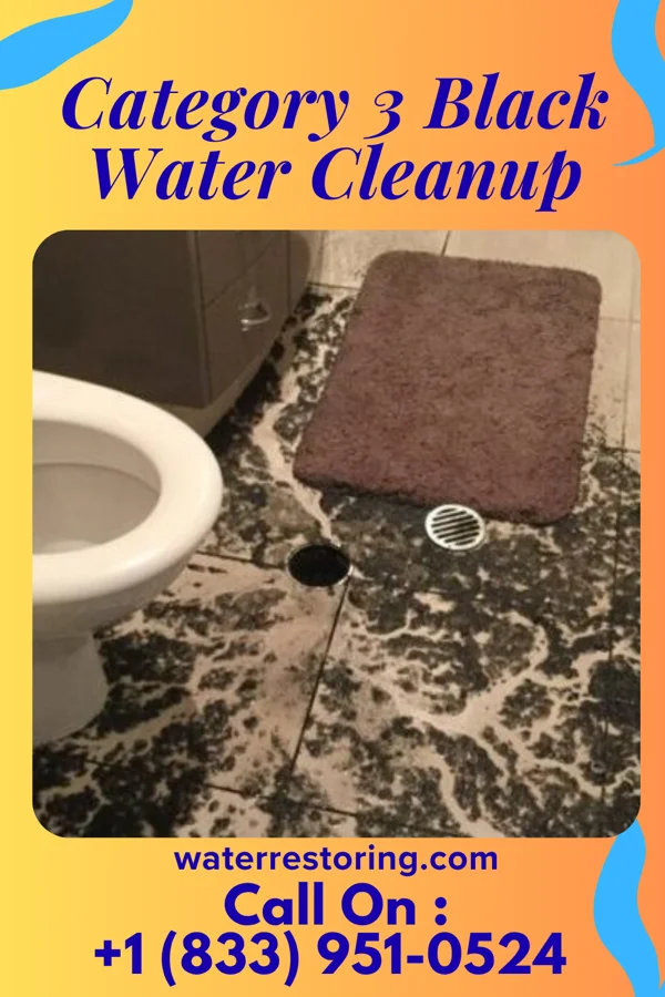 Category 3 Black Water Cleanup in Avondale Estates, GA