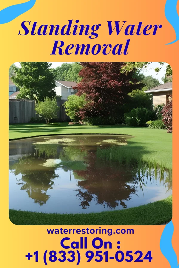 Standing Water Removal in Avondale Estates, GA